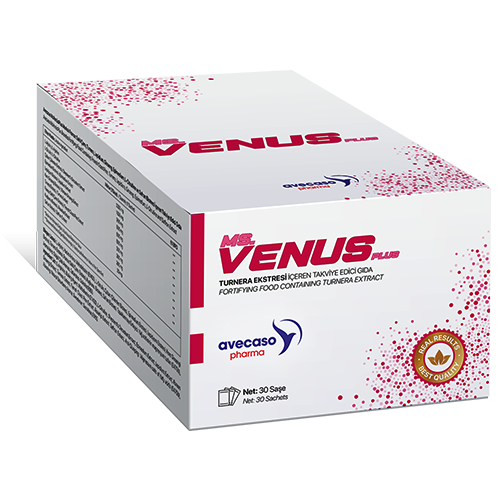 MsVENÜS Plus